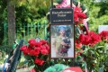 Башқұрт пен татар шығыны Ауған соғысындағы КСРО шығынынан асты: Ресейдегі ұлттық аймақтар соғыстың негізгі салмағын көтеріп отыр