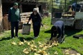 АУЫЛ ШАРУАШЫЛЫҒЫНДАҒЫ ЖАҢА СЕРПІН: Үржарда «Тауарлық несие» бағдарламасы сәтті басталды