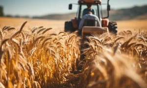 Қазақ астығын Парсы шығанағы елдеріне жеткізу жолдары пысықталып жатыр
