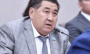 Назарбаев мемлекеттік басқару жүйесінен толықтай шеттетілген – Бапи