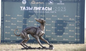 «Тазы лигасы – 2025»: Жүйрік тазылар жарысты