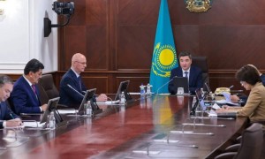 Президент жанындағы «Жасыл экономикаға» көшу жөніндегі кеңес отырысы өтті