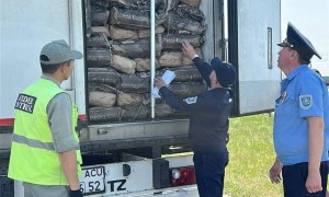 Елге Ресейден 30 тонна жұмыртқаны заңсыз кіргізбек болған