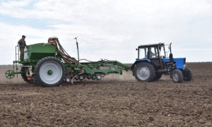 Қазақстанның оңтүстік өңірлерінде көктемгі егіс науқаны аяқталуға жақын
