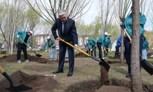Мемлекет басшысы «Жастар» саябағында ағаш екті