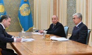 Мемлекет басшысы Ерсайын Нағаспаевты қабылдады