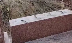 Алматы облысында зираттың құлыптастарын қиратқан күдікті ұсталды (ВИДЕО)