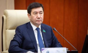 Ерлан Қошанов шешімін тапқан өзекті мәселелерге қатысты пікір білдірді