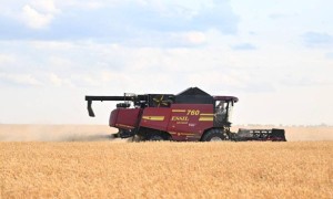Былтыр Қазақстанда рекордтық 26,7 млн тонна астық жиналды