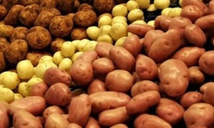 АШМ: Картоп қоры ішкі қажеттілікті толық қамтамасыз етуге жеткілікті