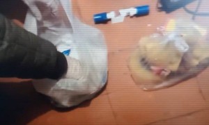 Ерлі-зайыптылар есірткіні заңсыз өндірді және сақтады деген күдікпен ұсталды (ВИДЕО)