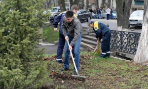 Алматыны көгалдандыру және экологиялық жобаларына 10,6 млрд теңге бөлінуі мүмкін