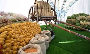 Қазақстанның ауыл шаруашылығы өнімдері 80-нен астам елге экспортталады – Президент