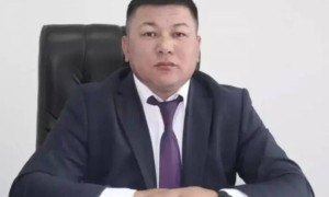 «Хуторский Хасанның» әкімдіктегі бауыры жұмыстан қуылды