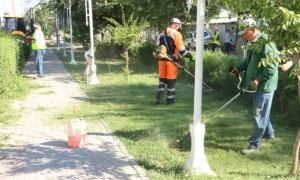 ТҮРКІСТАН: «ТАЗА ҚАЗАҚСТАН» АЯСЫНДА «ТАЗА АУЫЛ» ЭКОАКЦИЯСЫ ӨТТІ