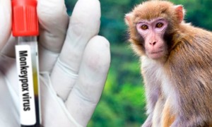 ДСМ: Елге инфекция келмеу үшін қажетті шаралар қабылданды