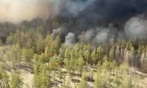 Қазірдің өзінде 27 орман өрті тіркелді – министр