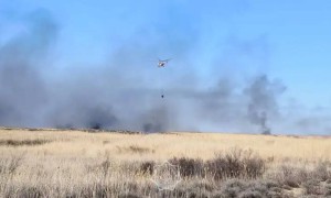 Іле-Балқаш табиғи резерватында қамыс өртеніп жатыр
