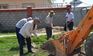 Жетісай ауданында экоакция аясында 300 түп ағаш әктелді
