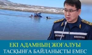 Вице-министр суға ағып кеткен азаматты айыптады (ВИДЕО)