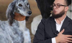 Қазақ елі үшін жанымызды беруге дайынбыз – Ескендир Насипоглы