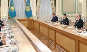 Президент Үкіметке ауыл шаруашылығының жай-күйіне мұқият талдау жүргізуді тапсырды