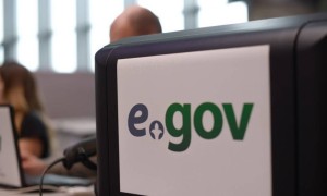 Осы аптада 10 мыңнан астам шетел азаматы ЖСН алуға өтініш берген