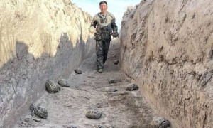 «Таза Қазақстан» экологиялық акциясының ауқымын кеңейту керек»