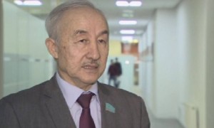«Күн мен желден энергия алу тиімсіз»