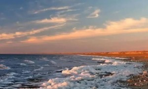 Солтүстік Арал қалпына келіп жатыр