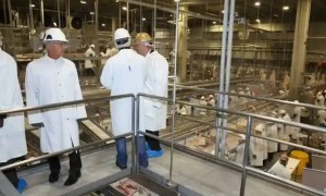 Америкалық санитарлық компания 100-ден астам баланы қауіпті жұмысқа алған