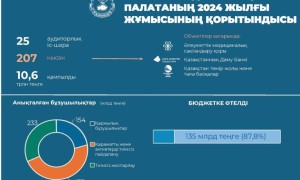 Сапалы аудит – даму жолындағы сенімді іргетас: ҚР Жоғары аудиторлық палатасының 2024 жылғы жұмысының қорытындылары