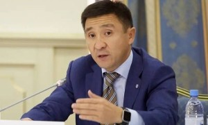 Бұрынғы мәдениет вице-министріне қатысты тергеу аяқталды