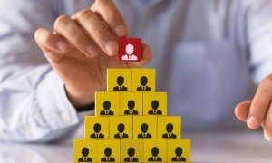 Ақмола облысында қаржы пирамидасын құрған әйелдің ісі сотқа жолданды