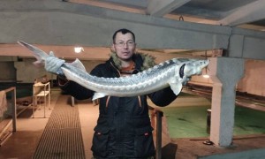 «Балық шаруашылығына байыппен қараумыз керек»