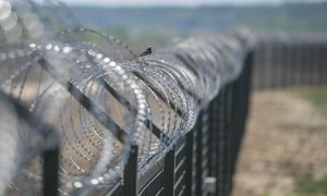 Тәліптерден қашқан бір топ ауғанстандық Тәжікстан шекарасынан өтіп кетті