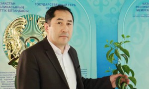 Мемлекеттің басты міндеті – кәсіпкерлікті қолдау – Ерұлан Жиенбаев