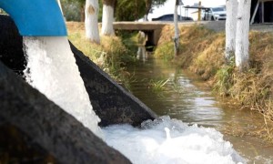 Су беру процесі жеңілдейді: шаруалар келісімшарттарды электронды форматта рәсімдейді