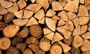 Қазақстанда ағаш материалдарын таңбалау жүйесі іске қосылуда