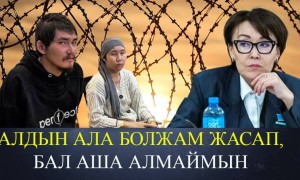 «12 жыл». Депутат Сәрсемалиевтің қанша жылға сотталуы мүмкін екенін айтты (ВИДЕО)