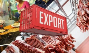 ҚАЗАҚСТАНДА СИЫР ЕТІН ЭКСПОРТТАУДЫҢ ҚЫЗЫҒЫ МЕН ШЫЖЫҒЫ БАСТАЛДЫ