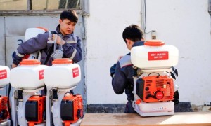 Астанада маса мен шіркейге қарсы күрес жұмысы қалай өтеді?