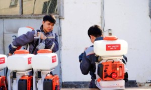 Как будут бороться с комарами и мошками в Астане