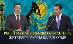 «Қазақстанға жасалған қысым». Мәжіліс депутаты Ресейдің тыйымына байланысты пікір білдірді (ВИДЕО)