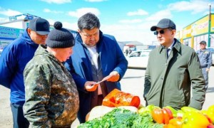 Астанада азық-түлік бағасына бақылау күшейтілді