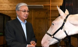 Президент сыйға тартылған тұлпарларды арнайы барып көрді