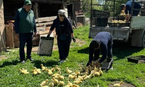 АУЫЛ ШАРУАШЫЛЫҒЫНДАҒЫ ЖАҢА СЕРПІН: Үржарда «Тауарлық несие» бағдарламасы сәтті басталды