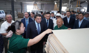Түркістанда ламинат өндіретін заманауи зауыт іске қосылды