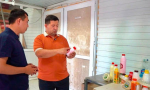 Түркістандық компания сүт өнімдерін Орталық Азия елдеріне экспорттауды жоспарлап отыр