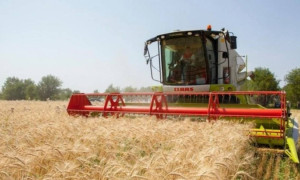 Қазақстанда егін орағы науқаны басталды